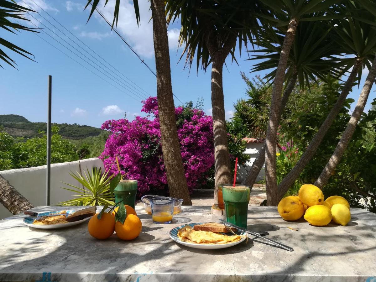 Lemon Tree Cottage Finikounta Esterno foto