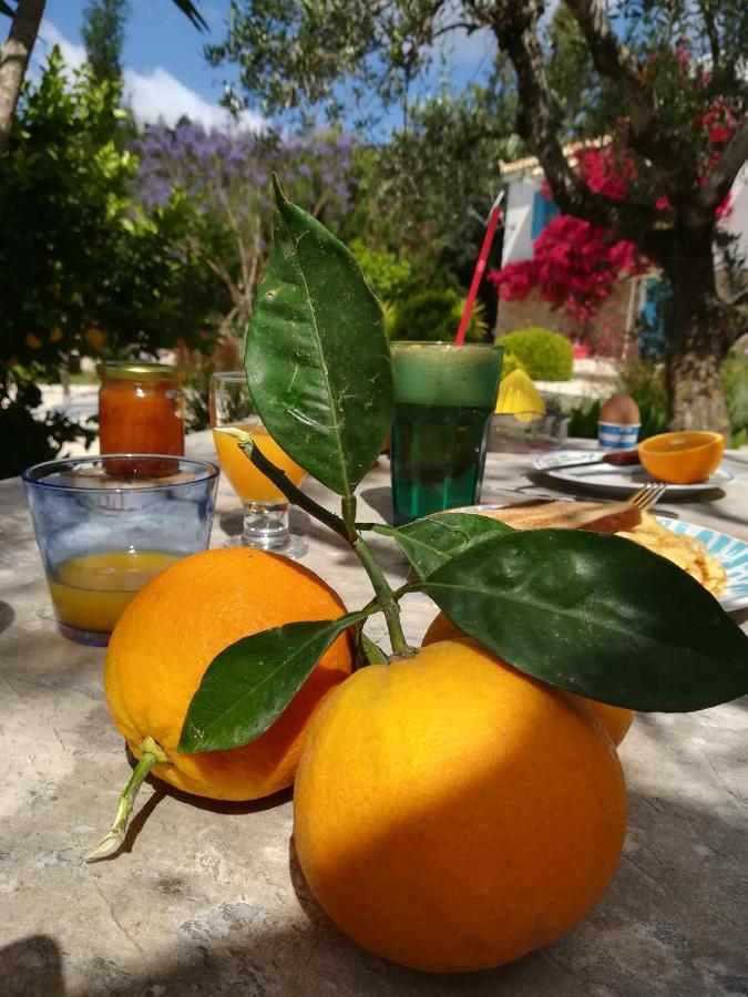 Lemon Tree Cottage Finikounta Esterno foto