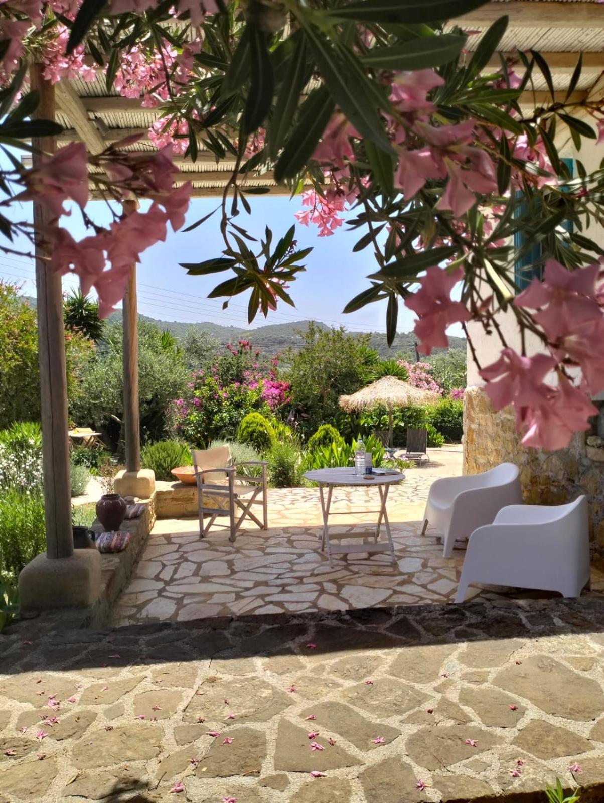Lemon Tree Cottage Finikounta Esterno foto